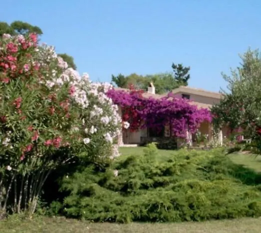 Сasa de vacaciones Visit San Teodoro (Sardinia)