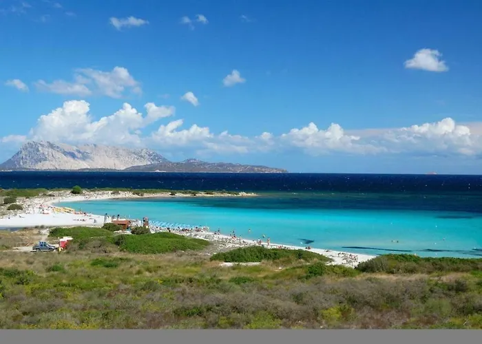 Сasa de vacaciones Visit San Teodoro (Sardinia)