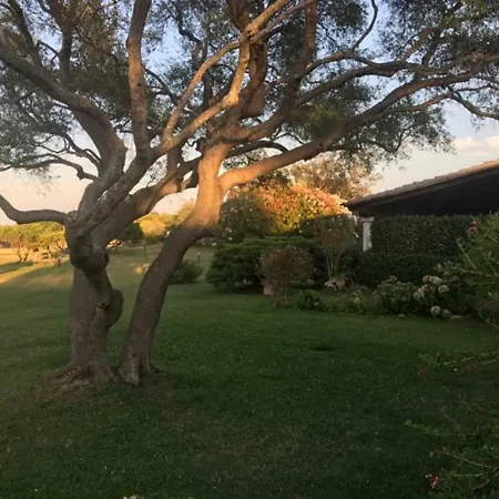 Casa vacanze Visit San Teodoro (Sardinia)