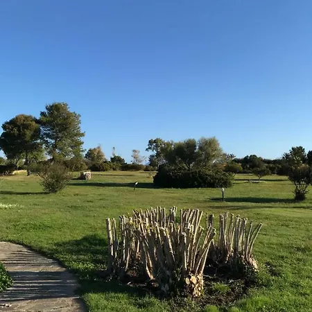 Visit بيت للعطل سان تيودورو